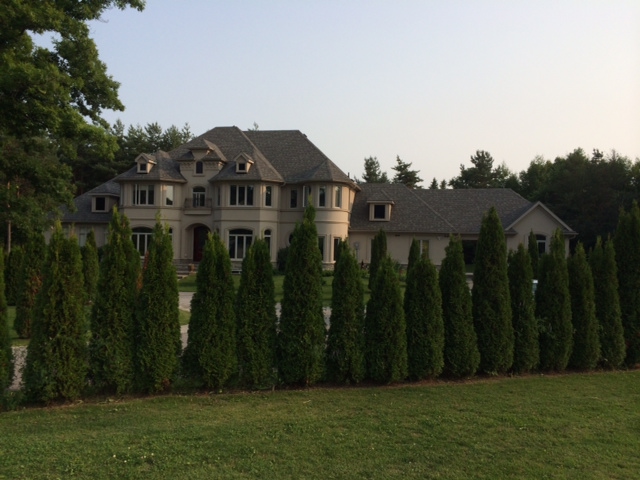 Head Office - Masucci Mansion